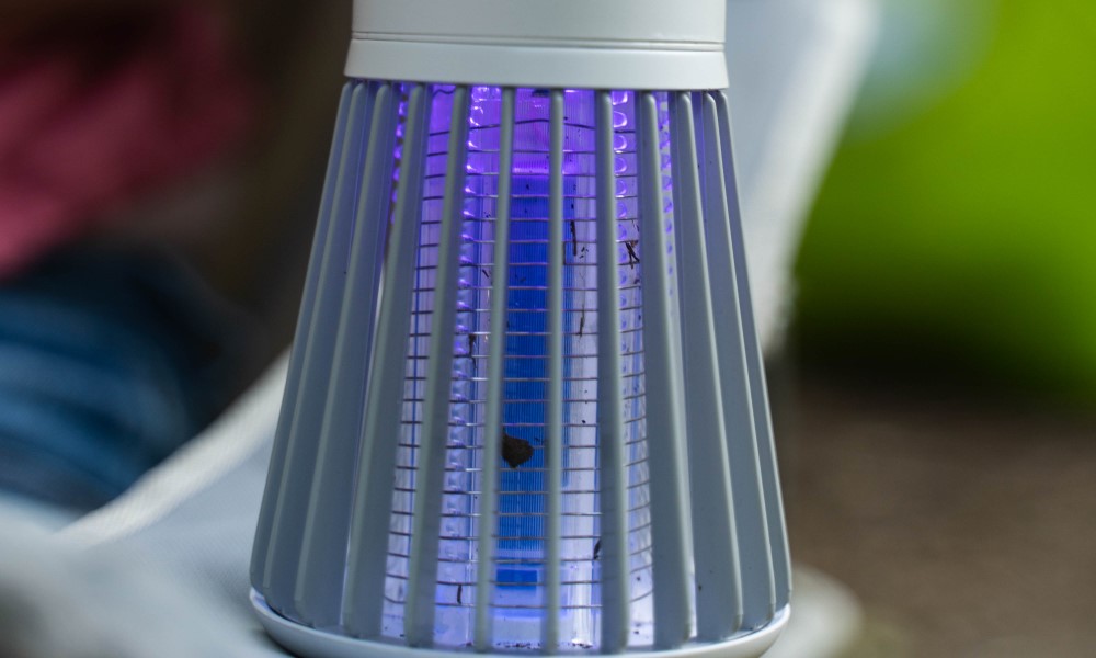 Zappify Mosquito Zapper Save 50 Today